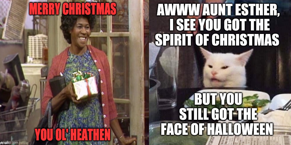 AWWW AUNT ESTHER,  I SEE YOU GOT THE SPIRIT OF CHRISTMAS; BUT YOU STILL GOT THE FACE OF HALLOWEEN | image tagged in smudge the cat | made w/ Imgflip meme maker