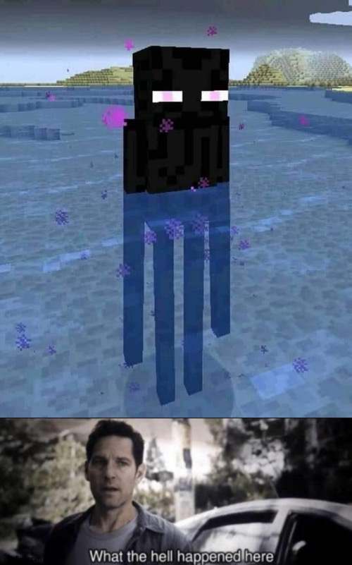 Minecraft is too cursed... | image tagged in what the hell happened here | made w/ Imgflip meme maker