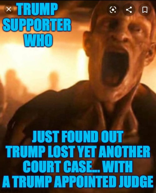 Trump supporter, court loss | TRUMP 
SUPPORTER 
WHO; JUST FOUND OUT TRUMP LOST YET ANOTHER COURT CASE... WITH A TRUMP APPOINTED JUDGE | image tagged in trump | made w/ Imgflip meme maker