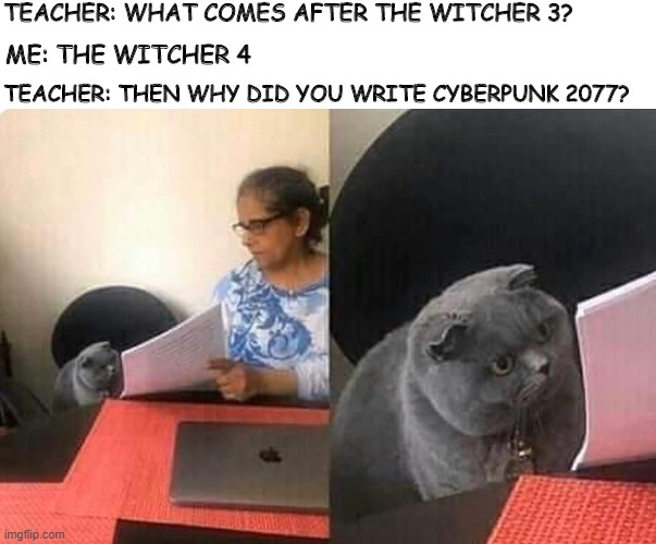 Cat teacher | TEACHER: WHAT COMES AFTER THE WITCHER 3? ME: THE WITCHER 4; TEACHER: THEN WHY DID YOU WRITE CYBERPUNK 2077? | image tagged in cat teacher | made w/ Imgflip meme maker