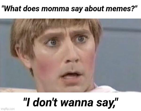 Mad TV Stuart | "What does momma say about memes?" "I don't wanna say," | image tagged in mad tv stuart | made w/ Imgflip meme maker