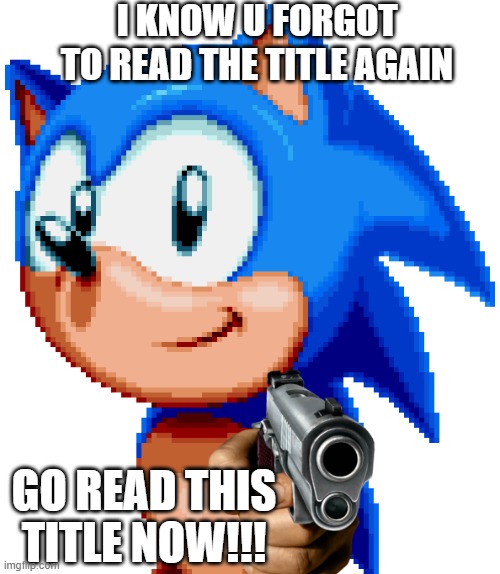 YOU'RE TOO SLOW!!! the gun is now pointing at u now and it will shoot to u in...1...BANG!!! | I KNOW U FORGOT TO READ THE TITLE AGAIN; GO READ THIS TITLE NOW!!! | image tagged in sonic with a gun | made w/ Imgflip meme maker