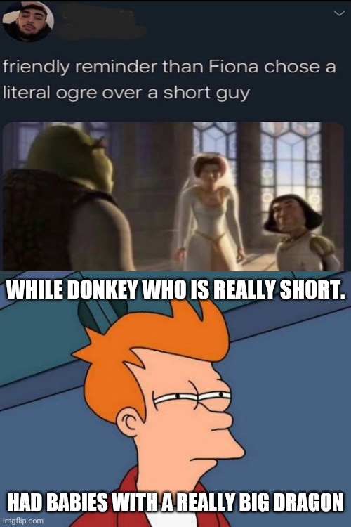 . | WHILE DONKEY WHO IS REALLY SHORT. HAD BABIES WITH A REALLY BIG DRAGON | image tagged in memes,futurama fry,shrek | made w/ Imgflip meme maker