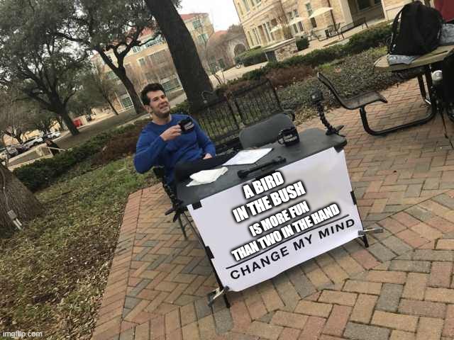 Not sure this is a bad saying | A BIRD IN THE BUSH; IS MORE FUN THAN TWO IN THE HAND | image tagged in prove me wrong | made w/ Imgflip meme maker