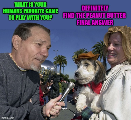 the games we play | DEFINITELY FIND THE PEANUT BUTTER 
FINAL ANSWER; WHAT IS YOUR HUMANS FAVORITE GAME TO PLAY WITH YOU? | image tagged in interview,dog,kewlew | made w/ Imgflip meme maker