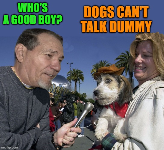 doggie interview |  WHO'S A GOOD BOY? DOGS CAN'T TALK DUMMY | image tagged in interview,doggie,kewlew | made w/ Imgflip meme maker