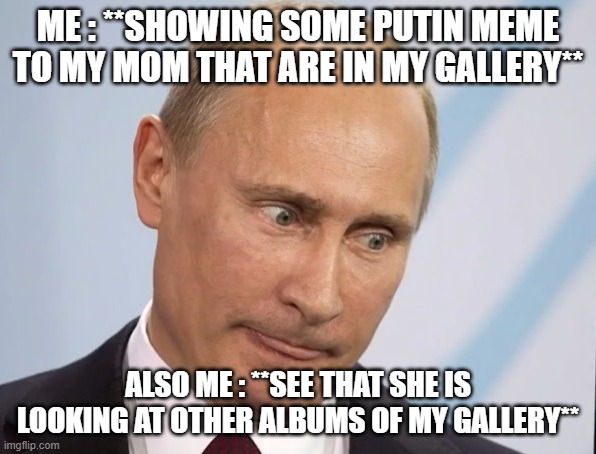 Putin meme | ME : **SHOWING SOME PUTIN MEME TO MY MOM THAT ARE IN MY GALLERY**; ALSO ME : **SEE THAT SHE IS LOOKING AT OTHER ALBUMS OF MY GALLERY** | image tagged in vladimir putin,putin,memes,funny memes,that moment when | made w/ Imgflip meme maker