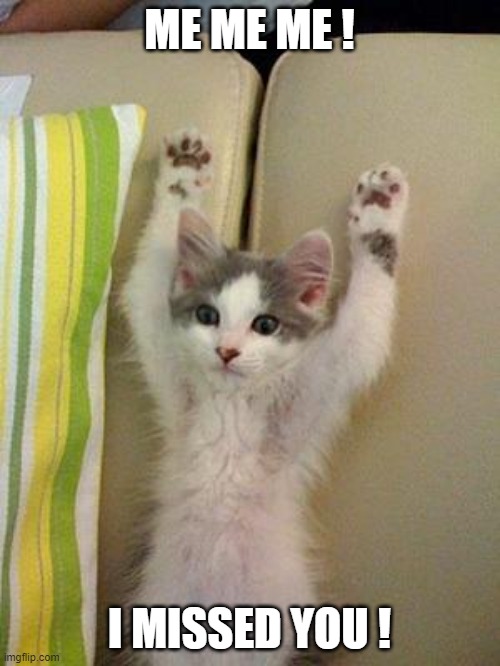 Hands up kitten | ME ME ME ! I MISSED YOU ! | image tagged in hands up kitten | made w/ Imgflip meme maker