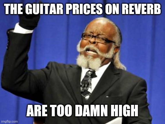 With shipping, I could just buy it new | THE GUITAR PRICES ON REVERB; ARE TOO DAMN HIGH | image tagged in memes,too damn high | made w/ Imgflip meme maker