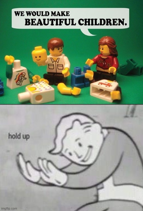 wtf LEGO | image tagged in lego,fallout hold up | made w/ Imgflip meme maker