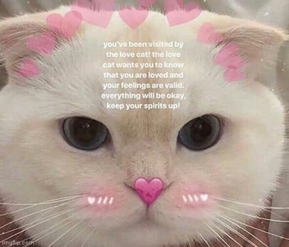 You have been visited by love cat | made w/ Imgflip meme maker
