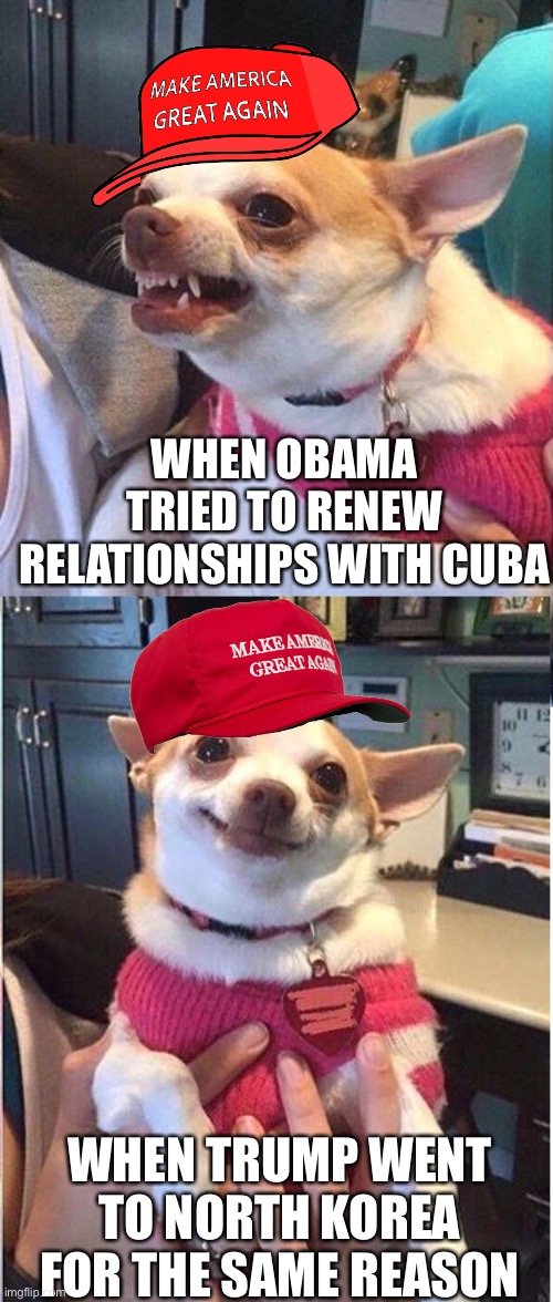 Angry dog meme vertical | WHEN OBAMA TRIED TO RENEW RELATIONSHIPS WITH CUBA; WHEN TRUMP WENT TO NORTH KOREA FOR THE SAME REASON | image tagged in angry dog meme vertical | made w/ Imgflip meme maker