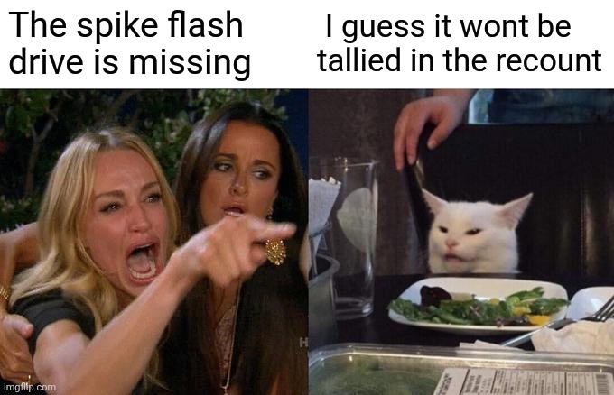 Politics and stuff | The spike flash drive is missing; I guess it wont be tallied in the recount | image tagged in memes,woman yelling at cat | made w/ Imgflip meme maker