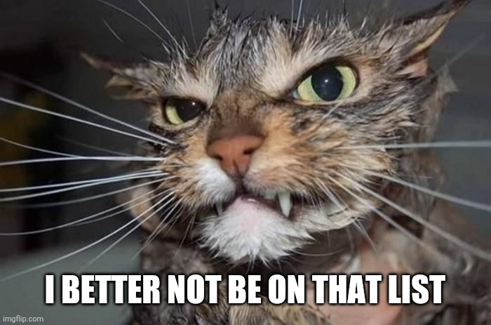 Angry Mad Cat | I BETTER NOT BE ON THAT LIST | image tagged in angry mad cat | made w/ Imgflip meme maker
