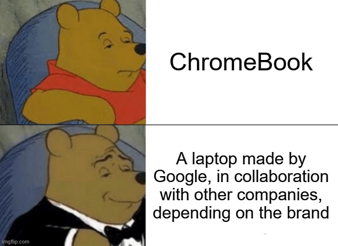 The fancy way to say "ChromeBook" | ChromeBook; A laptop made by Google, in collaboration with other companies, depending on the brand | image tagged in memes,tuxedo winnie the pooh,chromebook,technology | made w/ Imgflip meme maker