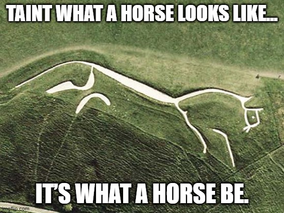What a Horse Be... | TAINT WHAT A HORSE LOOKS LIKE... IT’S WHAT A HORSE BE. | image tagged in discworld,white horse,tiffany aching,terry pratchett,horse | made w/ Imgflip meme maker