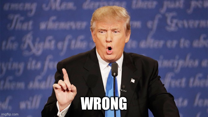 Donald Trump Wrong | WRONG | image tagged in donald trump wrong | made w/ Imgflip meme maker