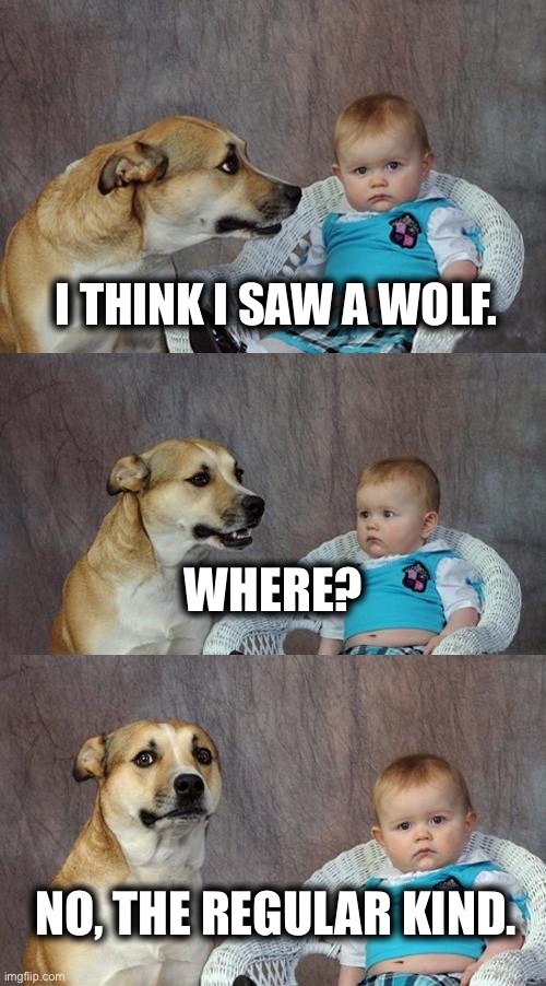 Ba dum tsss ! | I THINK I SAW A WOLF. WHERE? NO, THE REGULAR KIND. | image tagged in memes,dad joke dog,werewolf,where,wolf,lame | made w/ Imgflip meme maker