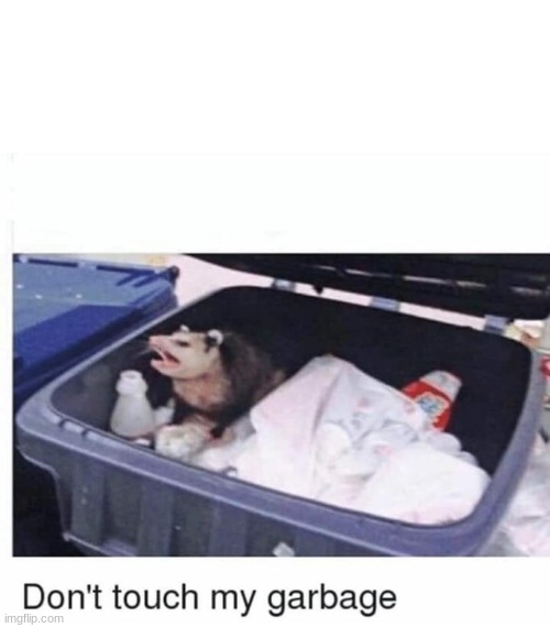 Don't touch my garbage | image tagged in don't touch my garbage | made w/ Imgflip meme maker