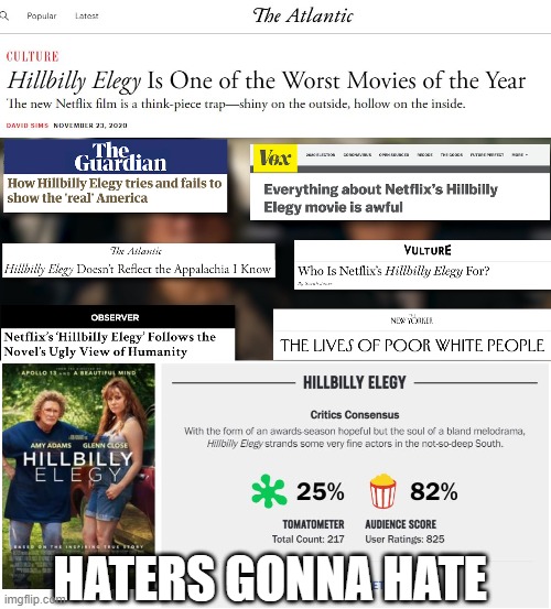 the polarized states of america | HATERS GONNA HATE | image tagged in hillbilly,poverty,america,deplorables,hollywood,movies | made w/ Imgflip meme maker