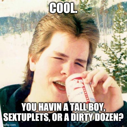 Eighties Teen Meme | COOL. YOU HAVIN A TALL BOY, SEXTUPLETS, OR A DIRTY DOZEN? | image tagged in memes,eighties teen | made w/ Imgflip meme maker