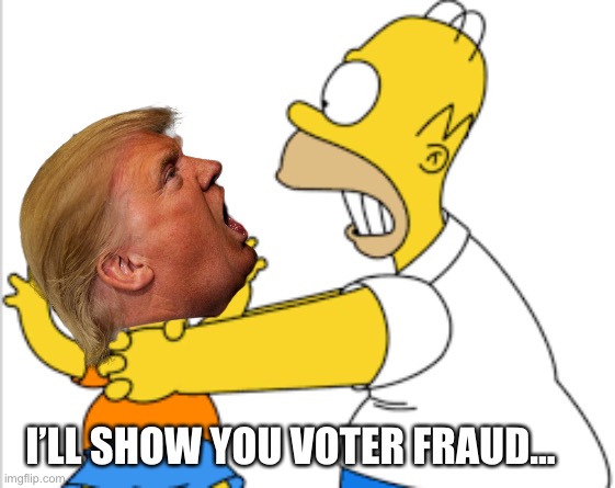 I’LL SHOW YOU VOTER FRAUD... | made w/ Imgflip meme maker