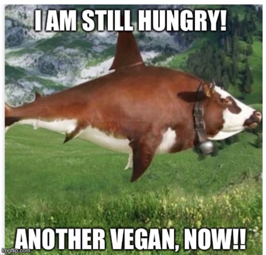 Killer cow | image tagged in funny memes | made w/ Imgflip meme maker