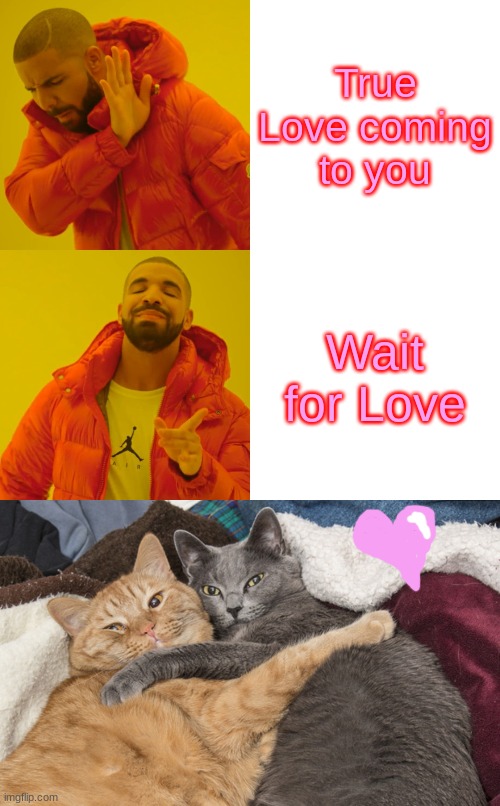 True Love coming to you; Wait for Love | image tagged in memes,drake hotline bling,two cats hugging | made w/ Imgflip meme maker