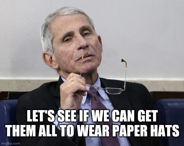 Dr. Fauci | LET'S SEE IF WE CAN GET THEM ALL TO WEAR PAPER HATS | image tagged in dr fauci | made w/ Imgflip meme maker