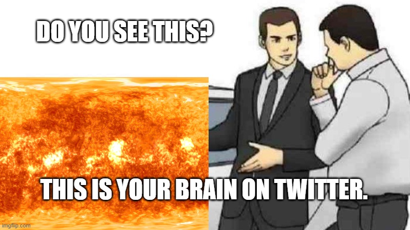 Brain |  DO YOU SEE THIS? THIS IS YOUR BRAIN ON TWITTER. | image tagged in brain,funni,shitpost,meme | made w/ Imgflip meme maker