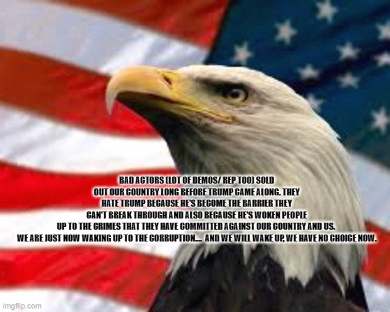 patriots | BAD ACTORS (LOT OF DEMOS/ REP TOO) SOLD OUT OUR COUNTRY LONG BEFORE TRUMP CAME ALONG. THEY HATE TRUMP BECAUSE HE'S BECOME THE BARRIER THEY CAN'T BREAK THROUGH AND ALSO BECAUSE HE'S WOKEN PEOPLE UP TO THE CRIMES THAT THEY HAVE COMMITTED AGAINST OUR COUNTRY AND US. 
WE ARE JUST NOW WAKING UP TO THE CORRUPTION....  AND WE WILL WAKE UP, WE HAVE NO CHOICE NOW. | image tagged in murica patriotic eagle | made w/ Imgflip meme maker