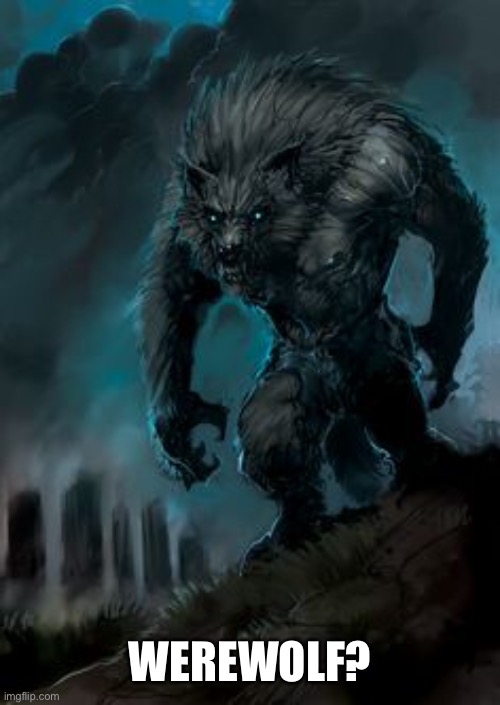 werewolf | WEREWOLF? | image tagged in werewolf | made w/ Imgflip meme maker