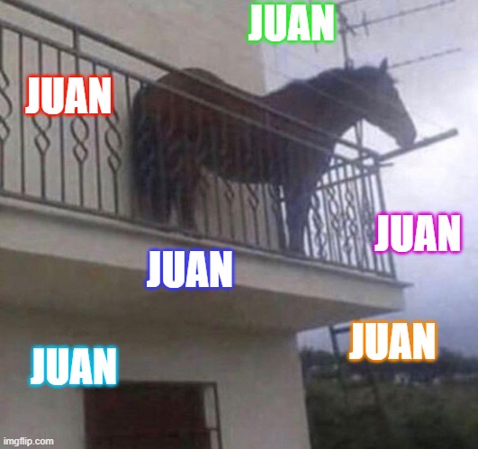 Juan |  JUAN; JUAN; JUAN; JUAN; JUAN; JUAN | image tagged in juan | made w/ Imgflip meme maker