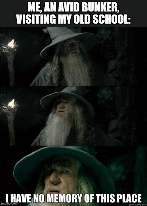 School Reunion | ME, AN AVID BUNKER, VISITING MY OLD SCHOOL: | image tagged in i have no memory of this place,high school,lord of the rings,confused gandalf,student life,school meme | made w/ Imgflip meme maker