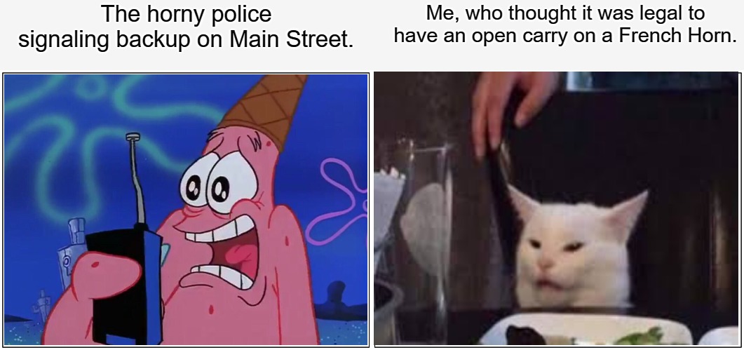 These horny laws are really strict... | The horny police signaling backup on Main Street. Me, who thought it was legal to have an open carry on a French Horn. | image tagged in memes,blank comic panel 2x1,patrick star,confused cat,horny,wee woo | made w/ Imgflip meme maker