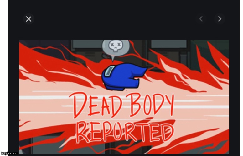 Among us dead body reported | image tagged in among us dead body reported | made w/ Imgflip meme maker