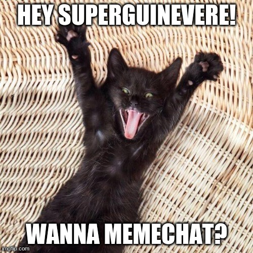 Here's a chat link if you want: https://imgflip.com/memechat?invite=CYIcZxQ3TceeiNpbRwD4xrv0li9ZpoT0 | HEY SUPERGUINEVERE! WANNA MEMECHAT? | image tagged in happy cat | made w/ Imgflip meme maker