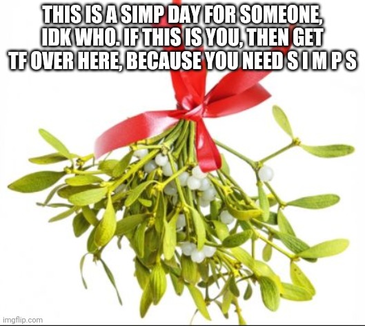 mistletoe | THIS IS A SIMP DAY FOR SOMEONE, IDK WHO. IF THIS IS YOU, THEN GET TF OVER HERE, BECAUSE YOU NEED S I M P S | image tagged in mistletoe | made w/ Imgflip meme maker