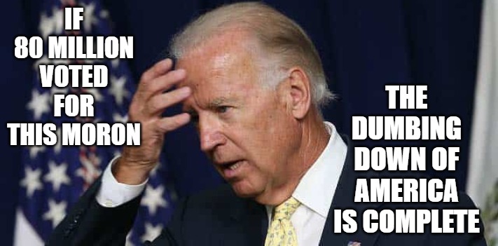 Dumbing Down | IF 80 MILLION VOTED FOR THIS MORON; THE DUMBING DOWN OF AMERICA IS COMPLETE | image tagged in dumbing down,moron,biden,america,vote | made w/ Imgflip meme maker