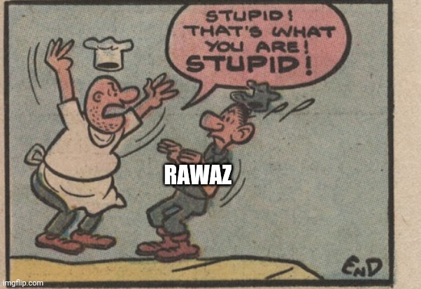 Stupid! That's what you are! Stupid! | RAWAZ | image tagged in stupid that's what you are stupid | made w/ Imgflip meme maker