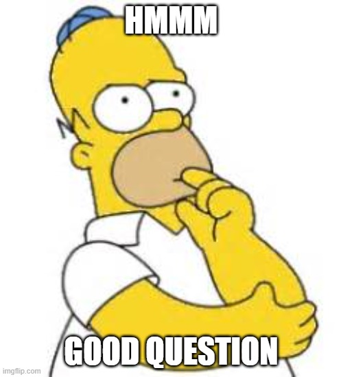 Homer Simpson Hmmmm | HMMM GOOD QUESTION | image tagged in homer simpson hmmmm | made w/ Imgflip meme maker