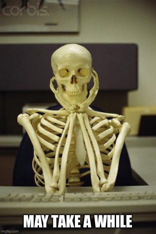 Waiting Skeleton | MAY TAKE A WHILE | image tagged in waiting skeleton | made w/ Imgflip meme maker