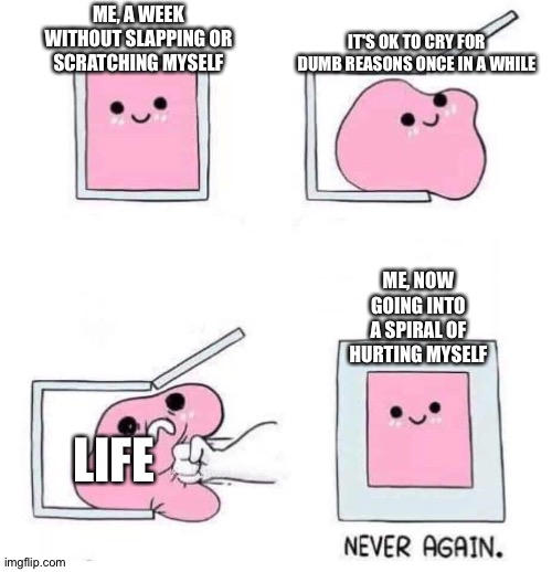Never again | IT'S OK TO CRY FOR DUMB REASONS ONCE IN A WHILE; ME, A WEEK WITHOUT SLAPPING OR SCRATCHING MYSELF; ME, NOW GOING INTO A SPIRAL OF HURTING MYSELF; LIFE | image tagged in never again | made w/ Imgflip meme maker