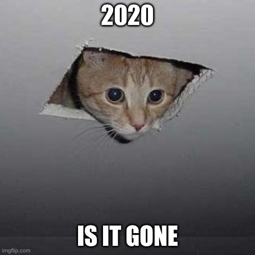 Ceiling Cat | 2020; IS IT GONE | image tagged in memes,ceiling cat | made w/ Imgflip meme maker