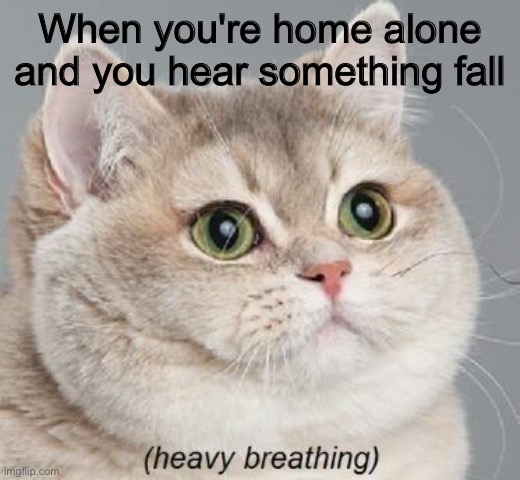 Heavy Breathing Cat | When you're home alone and you hear something fall | image tagged in memes,heavy breathing cat | made w/ Imgflip meme maker