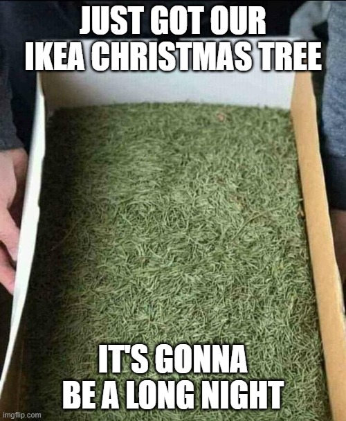 JUST GOT OUR IKEA CHRISTMAS TREE; IT'S GONNA BE A LONG NIGHT | image tagged in xmas | made w/ Imgflip meme maker