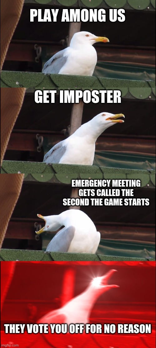 WHY?! who can relate? | PLAY AMONG US; GET IMPOSTER; EMERGENCY MEETING GETS CALLED THE SECOND THE GAME STARTS; THEY VOTE YOU OFF FOR NO REASON | image tagged in memes,inhaling seagull | made w/ Imgflip meme maker