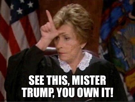Judge Judy Loser | SEE THIS, MISTER TRUMP, YOU OWN IT! | image tagged in judge judy loser | made w/ Imgflip meme maker