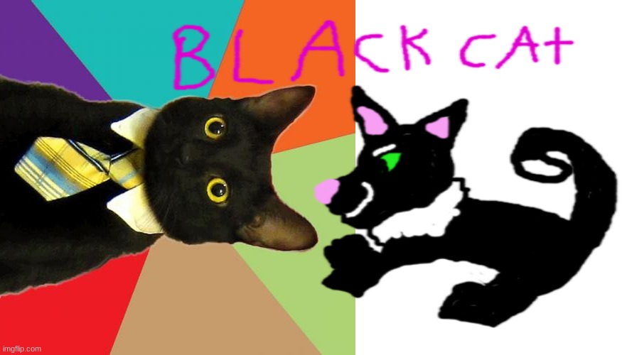 Black Cat | image tagged in blank white template,memes,business cat | made w/ Imgflip meme maker
