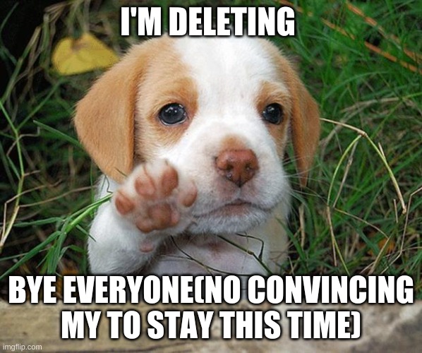 l8tr | I'M DELETING; BYE EVERYONE(NO CONVINCING MY TO STAY THIS TIME) | image tagged in dog puppy bye | made w/ Imgflip meme maker